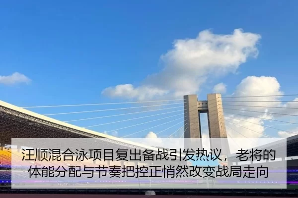 wang-shun-hun-he-yong-xiang-mu-fu-chu-bei-zhan-yin-fa-re-yi-lao-jiang-de-ti-neng-fen-pei-yu-jie-zou-ba-kong-zheng-qiao-2-326.jpg